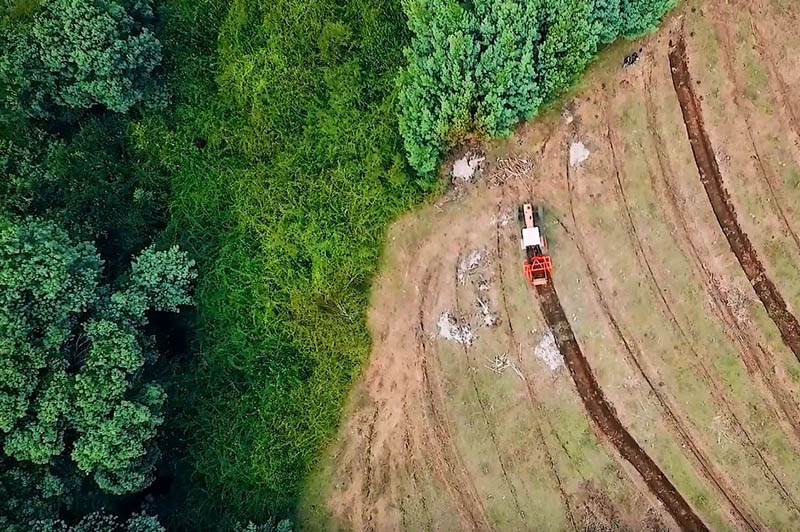 AmiForest Offsetting Project: Chile