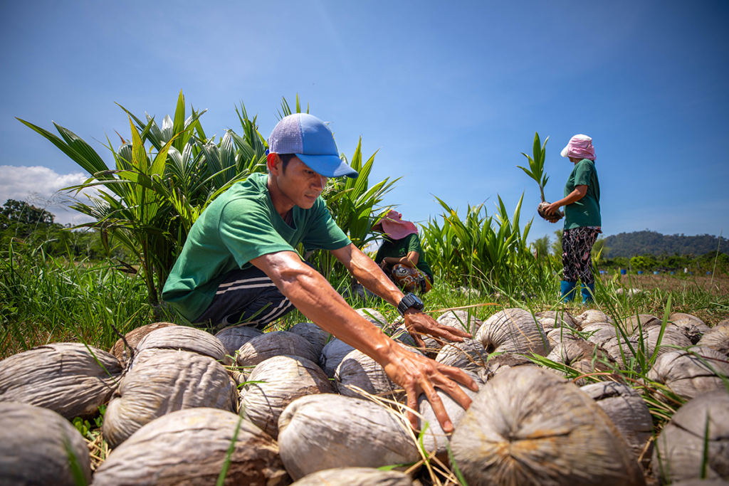 AmiForest: Cracking Climate Change with Coconut Trees