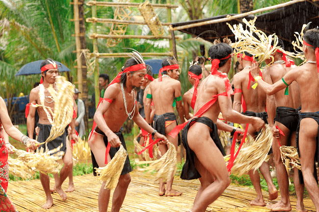 amiforest_coconut_farm_3