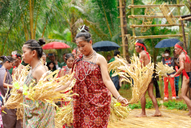 amiforest_coconut_farm